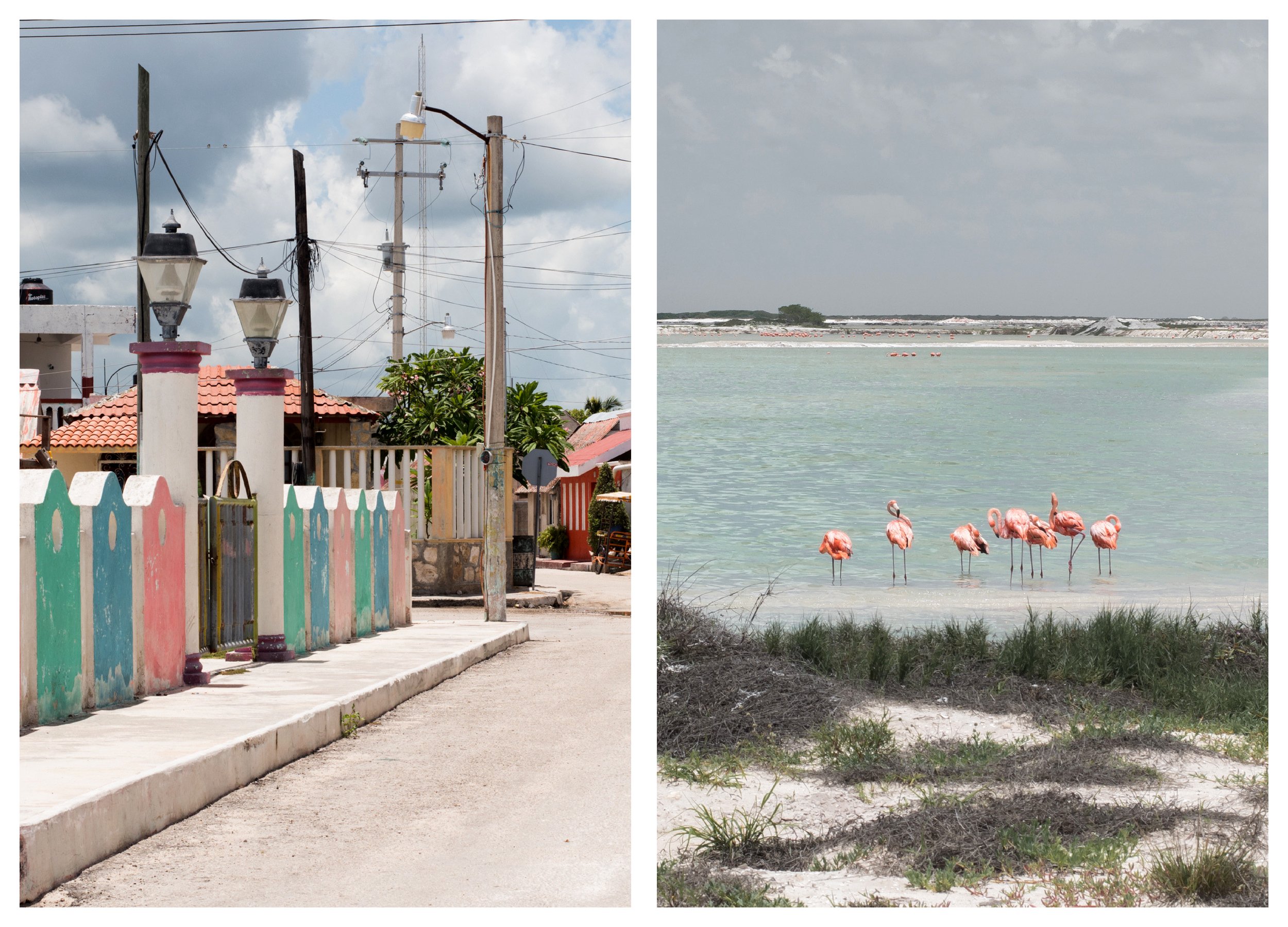 From Mérida to Las Coloradas - A Day for Hidden Gems